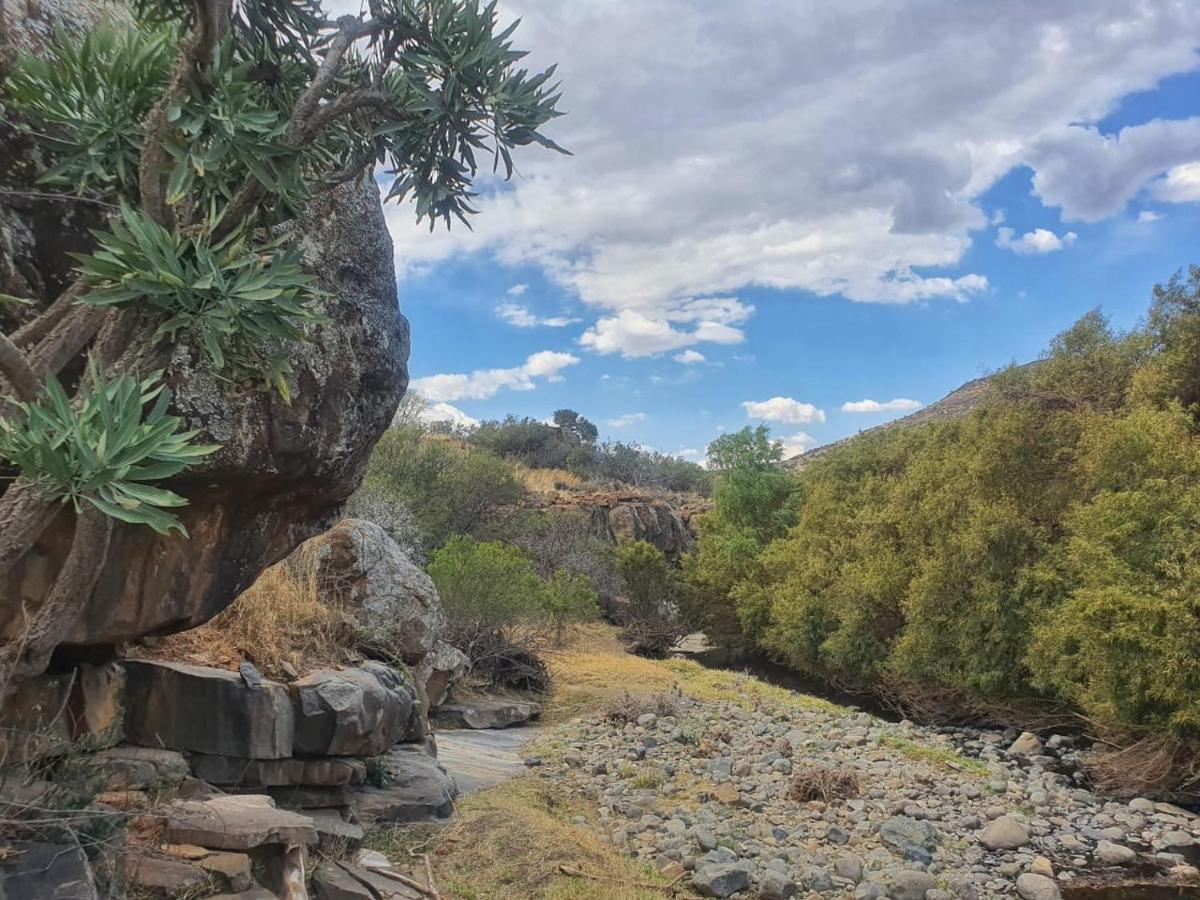 Graaff-Reinet Vrede Fountain House Farm Stay מראה חיצוני תמונה