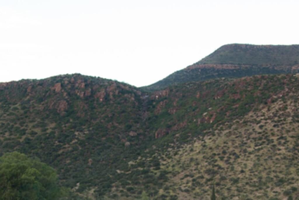 Graaff-Reinet Vrede Fountain House Farm Stay מראה חיצוני תמונה